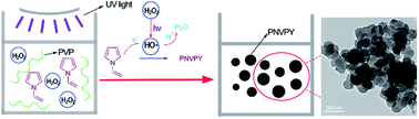 Graphical abstract: The green preparation of poly N-vinylpyrrole nanoparticles