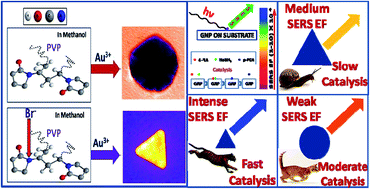 Graphical abstract: Differential role of PVP on the synthesis of plasmonic gold nanostructures and their catalytic and SERS properties