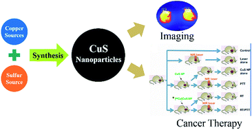 Graphical abstract: Synthetic methods of CuS nanoparticles and their applications for imaging and cancer therapy