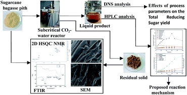 Graphical abstract: Hydrolysis behaviors of sugarcane bagasse pith in subcritical carbon dioxide–water