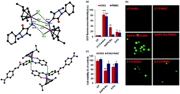 Graphical abstract: Arene ruthenium(ii) complexes with chalcone, aminoantipyrine and aminopyrimidine based ligands: synthesis, structure and preliminary evaluation of anti-leukemia activity