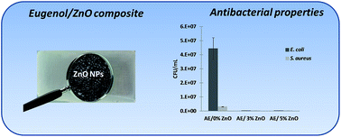 Graphical abstract: UV-cured thiol–ene eugenol/ZnO composite materials with antibacterial properties