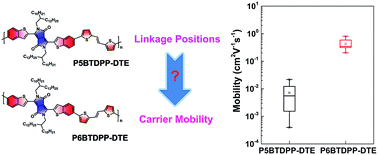 Graphical abstract: Benzothiophene-flanked diketopyrrolopyrrole polymers: impact of isomeric frameworks on carrier mobilities