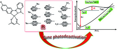 Graphical abstract: A cyclometalated (C^C*) platinum(ii) NHC complex decorated via different carboranes to tune the photodeactivation mechanism: a theoretical investigation