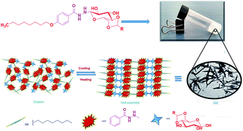 Graphical abstract: Design and synthesis of sugar-benzohydrazides: low molecular weight organogelators