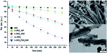 Graphical abstract: Photocatalytic WO3/TiO2 nanowires: WO3 polymorphs influencing the atomic layer deposition of TiO2