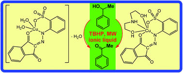 Graphical abstract: Mononuclear copper(ii) complexes of an arylhydrazone of 1H-indene-1,3(2H)-dione as catalysts for the oxidation of 1-phenylethanol in ionic liquid medium