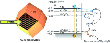 Graphical abstract: Precise control of Cu2O nanostructures and LED-assisted photocatalysis