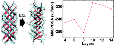 Graphical abstract: Understanding structural characteristics of out-of-register hIAPP amyloid proteins via molecular dynamics