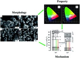 Graphical abstract: Controllable hydrothermal synthesis of Eu3+/Tb3+/Dy3+ activated Zn8[(BO3)3O2(OH)3] micro/nanostructured phosphors: energy transfer and tunable emissions