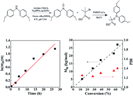 Graphical abstract: Nitroxide-mediated polymerization of methyl methacrylate by 4,4′-dimethoxydiphenyl-based alkoxyamine