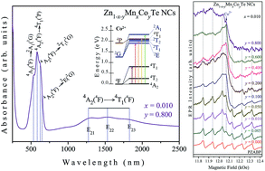 Graphical abstract: Evidence of competition in the incorporation of Co2+ and Mn2+ ions into the structure of ZnTe nanocrystals