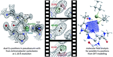 Graphical abstract: X-ray crystallographic evidence for the simultaneous presence of axial and rhombic sites in cupredoxins: atomic resolution X-ray crystal structure analysis of pseudoazurin and DFT modelling