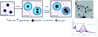 Graphical abstract: Ultra-fast microwave-assisted reverse microemulsion synthesis of Fe3O4@SiO2 core–shell nanoparticles as a highly recyclable silver nanoparticle catalytic platform in the reduction of 4-nitroaniline