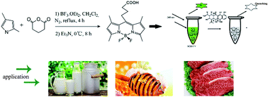 Graphical abstract: First report on a BODIPY-based fluorescent probe for sensitive detection of oxytetracycline: application for the rapid determination of oxytetracycline in milk, honey and pork