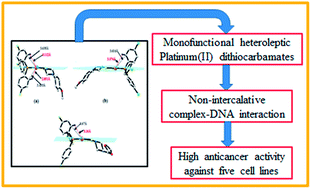 Graphical abstract: Monofunctional platinum(ii) dithiocarbamate complexes: synthesis, characterization and anticancer activity