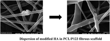 Graphical abstract: Fabrication and characterization of polymer–ceramic nanocomposites containing pluronic F127 immobilized on hydroxyapatite nanoparticles