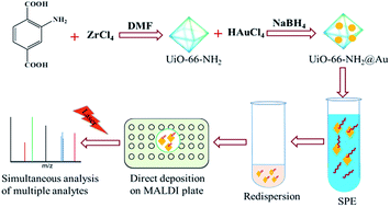 Graphical abstract: Simultaneous and direct analysis of multiple types of organic contaminants in water based on a MOF decorated with a suitable quantity of Au nanoparticles, using SALDI-TOF MS
