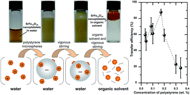 Graphical abstract: Simple phase transfer of nanoparticles from aqueous to organic media using polymer colloids as carriers