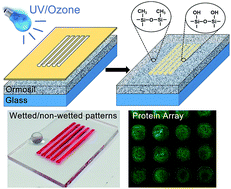 Graphical abstract: Robust superhydrophilic patterning of superhydrophobic ormosil surfaces for high-throughput on-chip screening applications