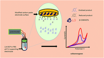 Graphical abstract: Electrochemical determination of 2,4-dichlorophenol at β-cyclodextrin functionalized ionic liquid modified chemical sensor: voltammetric and amperometric studies