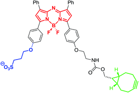 Graphical abstract: Strained alkyne substituted near infrared BF2 azadipyrromethene fluorochrome