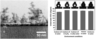 Graphical abstract: Rapid deposition of superhydrophilic stalagmite-like protrusions for underwater selective superwettability