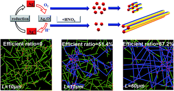 Graphical abstract: Largely-increased length of silver nanowires by controlled oxidative etching processes in solvothermal reaction and the application in highly transparent and conductive networks