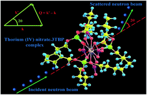 Graphical abstract: Trends in small angle neutron scattering of actinide–trialkyl phosphate complexes: a molecular insight into third phase formation