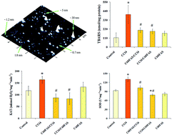 Graphical abstract: Hepatoprotective effect of orally applied water-soluble pristine C60 fullerene against CCl4-induced acute liver injury in rats