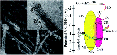 Graphical abstract: Controllable synthesis of hierarchical CuS/ZnS hetero-nanowires as high-performance visible-light photocatalysts