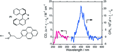 Graphical abstract: Cryptochiral binaphthyl–bipyrene luminophores linked with alkylene esters: intense circularly polarised luminescence, but ultraweak circular dichroism
