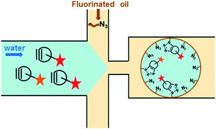 Graphical abstract: Copper-free click chemistry for microdroplet's W/O interface engineering
