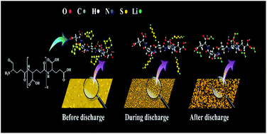 Graphical abstract: Development of a γ-polyglutamic acid binder for cathodes with high mass fraction of sulfur