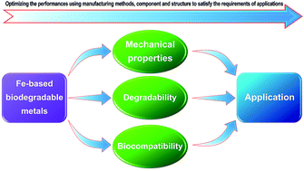 Graphical abstract: Advances in Fe-based biodegradable metallic materials