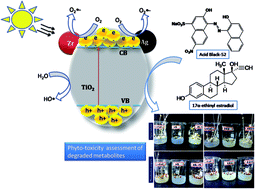 Graphical abstract: Mechanistic study of visible light driven photocatalytic degradation of EDC 17α-ethinyl estradiol and azo dye Acid Black-52: phytotoxicity assessment of intermediates