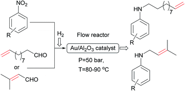 Graphical abstract: Synthesis of unsaturated secondary amines by direct reductive amination of aliphatic aldehydes with nitroarenes over Au/Al2O3 catalyst in continuous flow mode