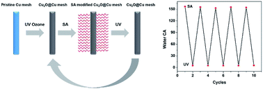 Graphical abstract: A regenerable copper mesh based oil/water separator with switchable underwater oleophobicity