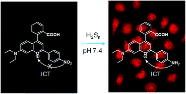 Graphical abstract: A flavylium-based turn-on fluorescent probe for imaging hydrogen polysulfides in living cells