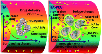 Graphical abstract: Development of biocompatible hydroxyapatite–poly(ethylene glycol) core–shell nanoparticles as an improved drug carrier: structural and electrical characterizations