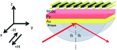 Graphical abstract: Extraordinary magneto-optical Kerr effect via MoS2 monolayer in Au/Py/MoS2 plasmonic cavity