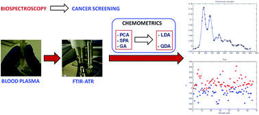 Graphical abstract: ATR-FTIR and multivariate analysis as a screening tool for cervical cancer in women from northeast Brazil: a biospectroscopic approach