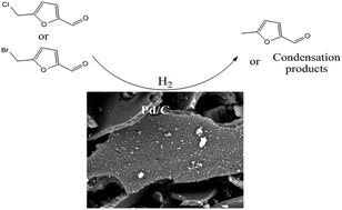 Graphical abstract: Palladium catalyzed hydrogenation of biomass derived halogenated furfurals