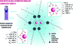 Graphical abstract: Photophysical properties of asymmetric and water-soluble dinuclear lanthanide complexes of poly glycol chain functionalized-benzoic acid derivative: experimental and theoretical approaches