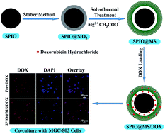 Graphical abstract: Superparamagnetic yolk–shell porous nanospheres of iron oxide@magnesium silicate: synthesis and application in high-performance anticancer drug delivery