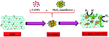 Graphical abstract: Synergetic effect of CoNPs and graphene as cocatalysts for enhanced electrocatalytic hydrogen evolution activity of MoS2