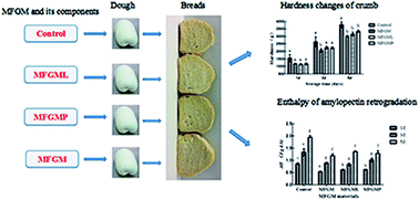 Graphical abstract: The effects of milk fat globule membrane and its individual components on dough properties and bread quality