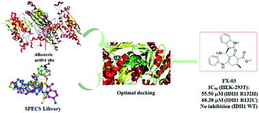 Graphical abstract: Identification of a novel selective inhibitor of mutant isocitrate dehydrogenase 1 at allosteric site by docking-based virtual screening