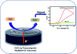 Graphical abstract: Electrochemical properties of silver nanoparticle-supported reduced graphene oxide in nitric oxide oxidation and detection