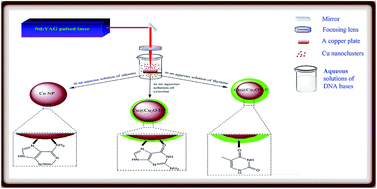 Graphical abstract: Investigation of the in situ generation of oxide-free copper nanoparticles using pulsed-laser ablation of bulk copper in aqueous solutions of DNA bases